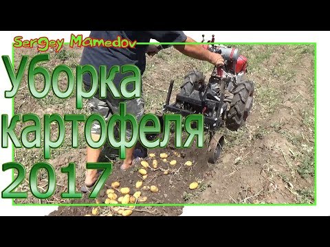 Видео: ➤УБОРКА КАРТОФЕЛЯ 2017