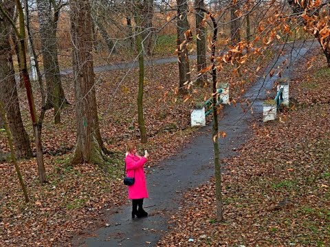 Видео: НЕ ТО ЗИМА,НЕ ТО ОСЕНЬ НОВАЯ КАХОВКА 11 12 2021