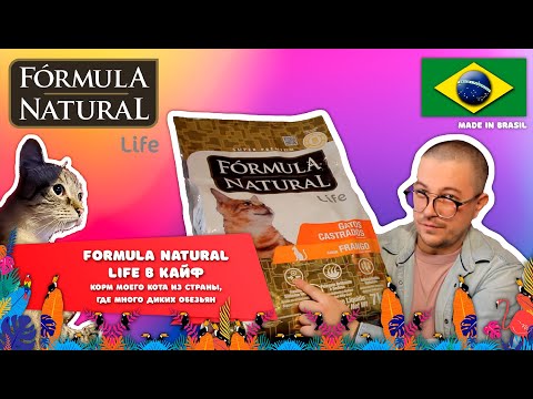 Видео: Объясню почему кормлю кота этим кормом! Formula Natural Life - супер премиум для кошек из Бразилии.