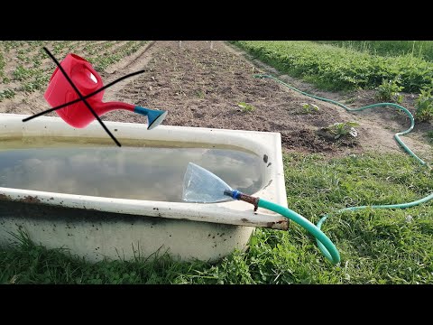 Видео: Как правильно поливать огород // Без лейки, только шланг и пластиковая бутылка