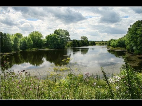 Видео: "Ой, да не вечер..." русская народная песня, поет Пелагея.