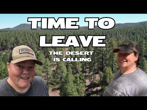 Видео: Пора покинуть лес — пустыня зовёт