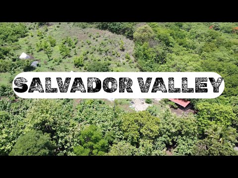 Видео: [КИНЕМАТОГРАФИЯ] Строительство каркаса сарая, перемещение кур и водопады Таманик