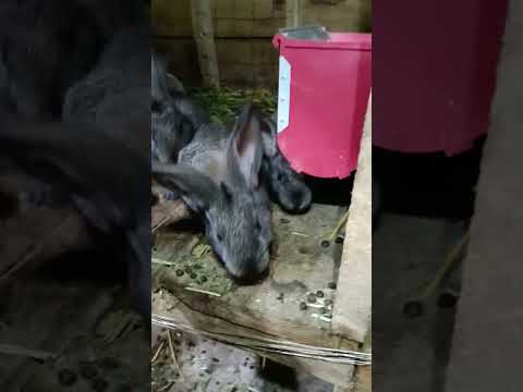 Видео: 7 октября 2025 г.