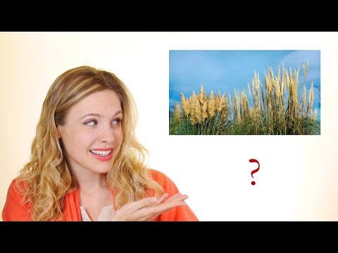 Видео: Иврит - обзорная игра для уроков 61-62 - Библейский иврит