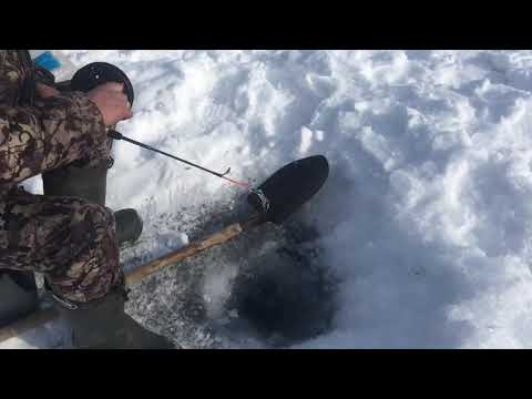 Видео: Для субботы порыбачил не плохо.
