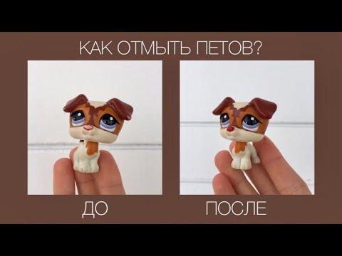 Видео: LPS: Как очистить петов? - Советы от Белки ✨