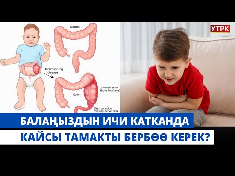 Видео: Балаңыздын ичи катканда кайсы тамакты бербөө керек? | "БӨБӨК" КӨРСӨТҮҮСҮ