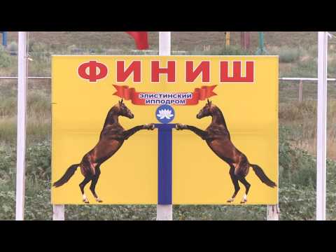 Видео: Большой приз Окс Элиста