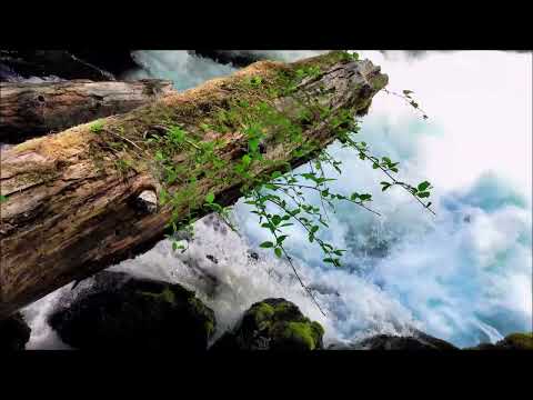 Видео: Расслабляющее Журчание Воды * Лучшее Видео с Бурлящим Потоком * Звуки Природы для Сна , Медитация