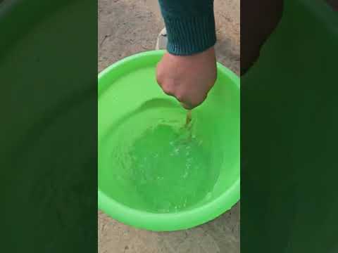 Видео: 26 октября 2025 г.