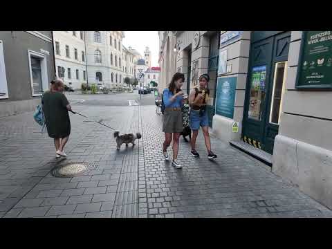 Видео: Егер 3