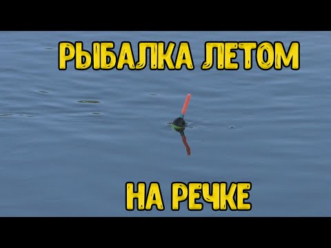 Видео: Ловля голавлей и плотвы летом на речке. Рыбалка на поплавок. 21 июня 2023