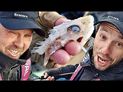 Видео: Страшная поимка на тренировках к PAL22! Осенний трофеи ждут...