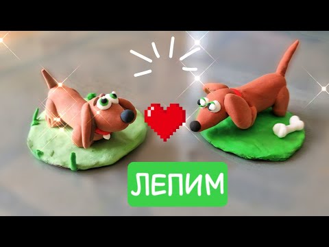 Видео: Такса из воздушного пластилина