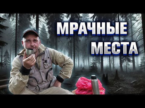 Видео: ТАЙНЫ МРАЧНОГО ЛЕСА: Что я нашел среди деревьев?