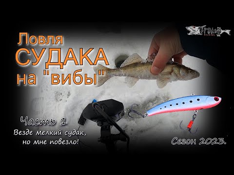 Видео: Ловля судака на вибы. Везде мелкий судак, но мне повезло!!! Часть 1. Сезон 2022-23