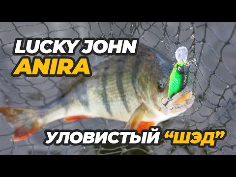 Видео: Lucky John Anira – уловистый "шэд"