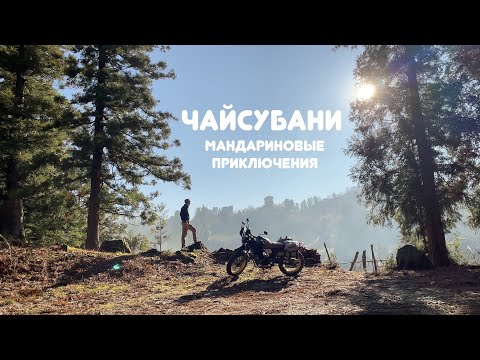 Видео: Мотопутешествие по горным поселкам Грузии