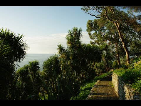 Видео: Батумский Ботанический Сад 16.09.25 #georgia #adjara #blacksea