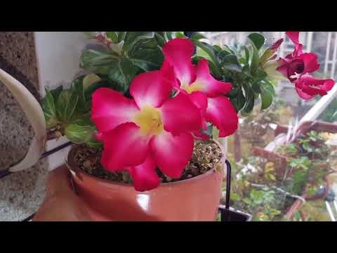 Видео: Сезон закрыт! Переходим в зимний режим (без особой радости)