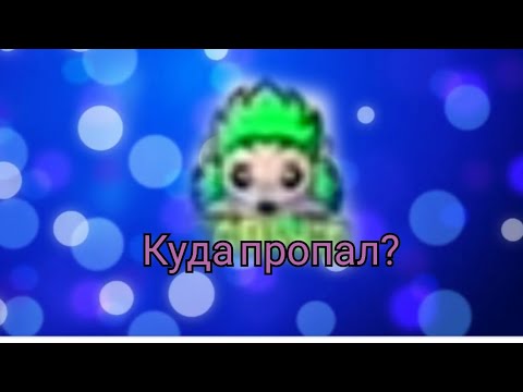 Видео: куда пропал бедвин?