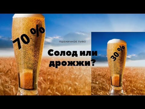 Видео: Пшеничное пиво про солод или дрожжи?Эксперимент с домашним пшеничным пивом!Дегустация!Z