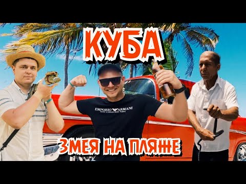 Видео: Куба | Змея на пляже | Карибское море | Вилла Дюпона | Отель Melia Varadero
