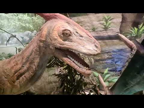 Видео: Алматы. Парк имени Горького. Дино-парк.