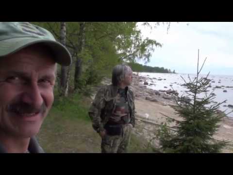 Видео: Чёрная Лахта