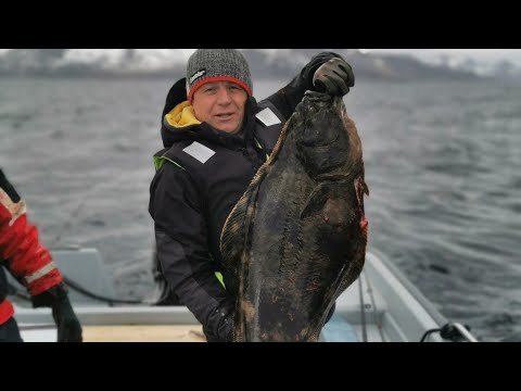 Видео: РЫБАЛКА В НОРВЕГИЙ 2023! ПОСЛЕДНИЙ ДЕНЬ ! Всё-таки поймали Палтуса !!! Вот это  рыбалка !