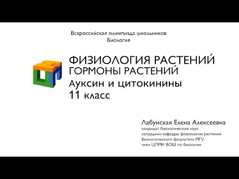 Видео: Биология. 11 класс. Лабунская Е. А. Физиология растений. Гормоны растений. Ауксин и цитокинины.