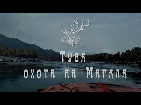 Видео: Охота на марала. Южная Сибирь, Тува.