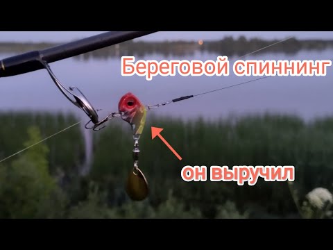 Видео: Этот дешёвый ТЕЙЛ СПИННЕР выручил всю рыбалку.
