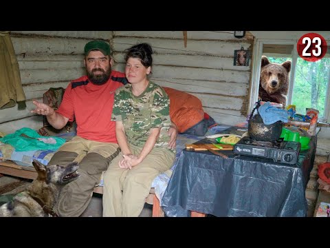 Видео: Bushcraft по-русски, 33 день в тайге | Заготовка грибов на зиму | пхд в избе и рядом | Бушкрафт 23ч.