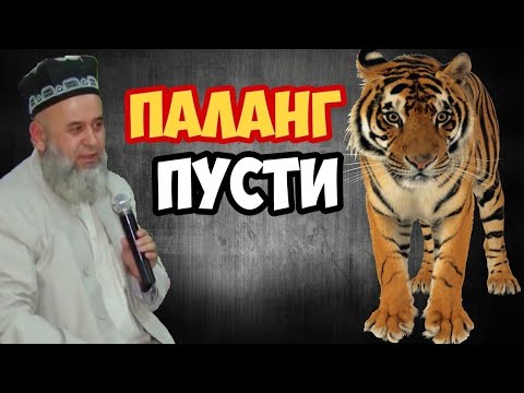 Видео: ХОЧИ МИРЗО- ЛИБОС АЗ ПУСТИ ПАЛАНГ