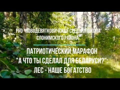 Видео: #АчтоТЫсделалBY  Патриотический марафон Лес - наше богатство