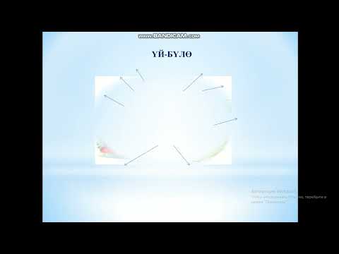 Видео: кыргыз тили (чет элдик студенттер үчүн) 6-сабак