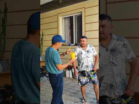 Видео: Алабай - коррекция. 