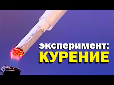 Видео: Галилео. Эксперимент ⚠ Курение 🚭 Smoking experiment