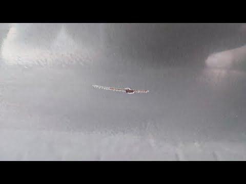 Видео: интересный способ убрать сколы или царапину с кузова автомобиля