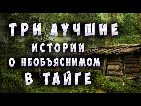 Видео: ТОП-3 Лучших историй про необъяснимые случаи в тайге.