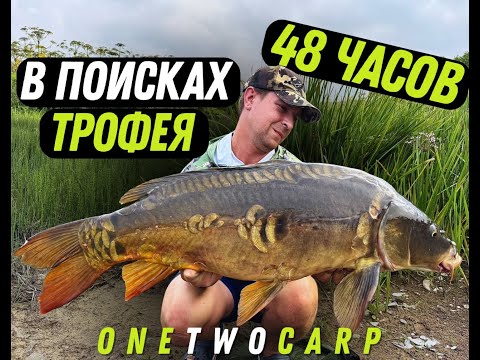 Видео: Трофейный Карпфишинг. 48 часов в поисках Трофея !