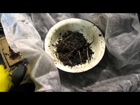 Видео: Червь "Старатель". 1000000 "Старателей" за зиму в подвале 11.