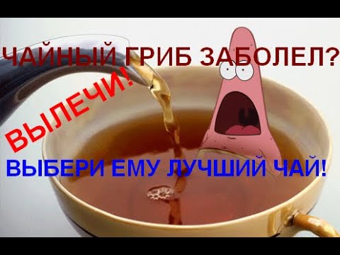 Видео: Лучший чай для чайного гриба!