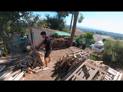 Видео: VLOG: ЕГО УЖЕ НЕ ОСТАНОВИТЬ! КАТЯ ЭТО СДЕЛАЛА! 19.09.25