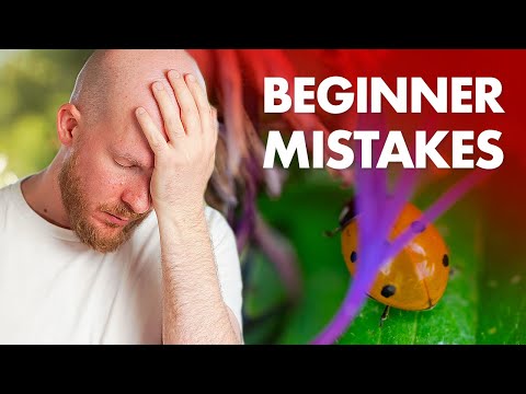 Видео: Обзор моих собственных макрофотографий для начинающих (и смех)