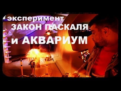 Видео: Галилео. Эксперимент. Закон Паскаля и аквариум