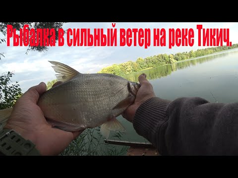 Видео: Рыбалка в сильны ветер на реке ТИКИЧ.