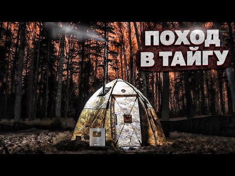 Видео: Ночёвка в Тайге с комфортом